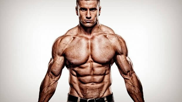 Muscle Mass Increase Muscle Mass Increase
